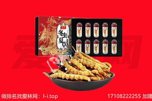 南京市回收虫草.jpg